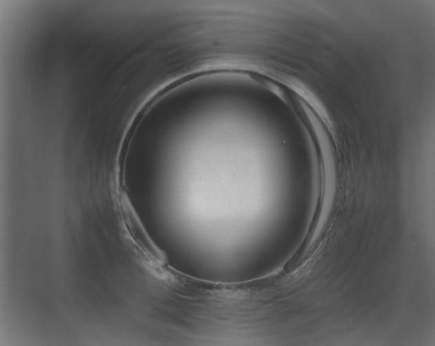 X0000075330996200609081053