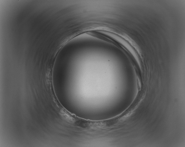 X0000075331001200609081053