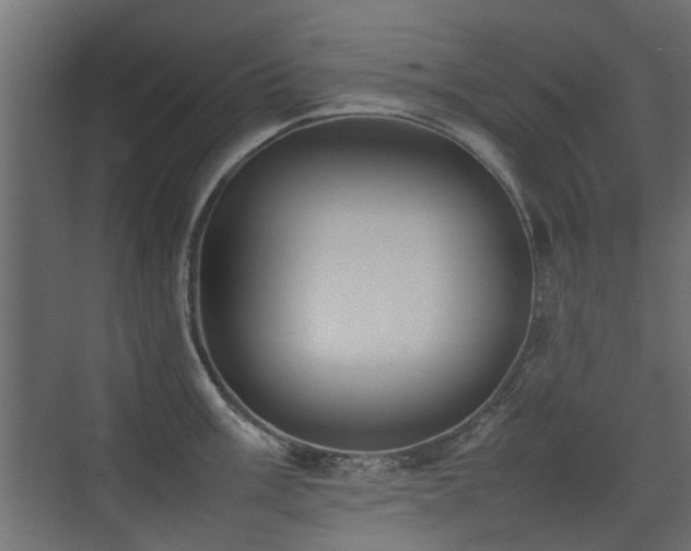 X0000075331003200609081053