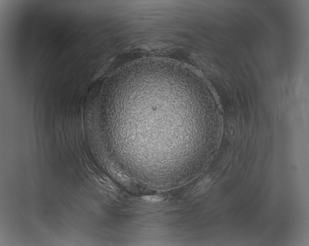 X0000075331010200609081052