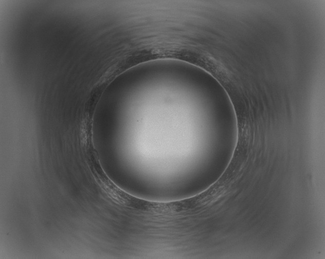X0000075331012200609081052