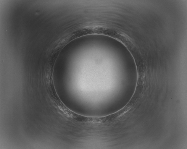X0000075331014200609081052