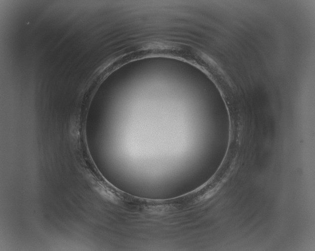 X0000075331017200609081052
