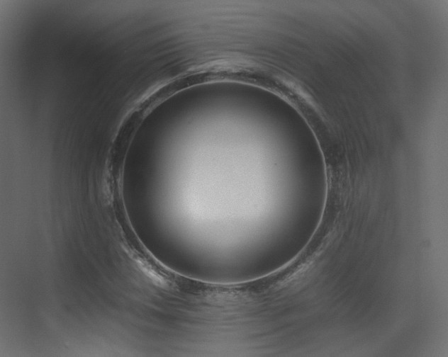 X0000075331018200609081052
