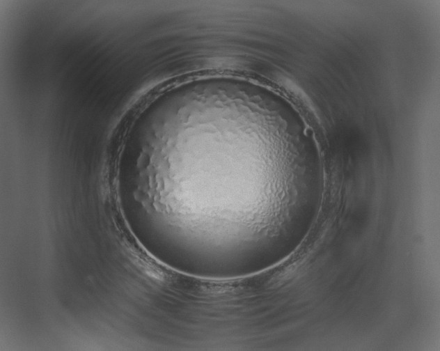 X0000075331019200609081052