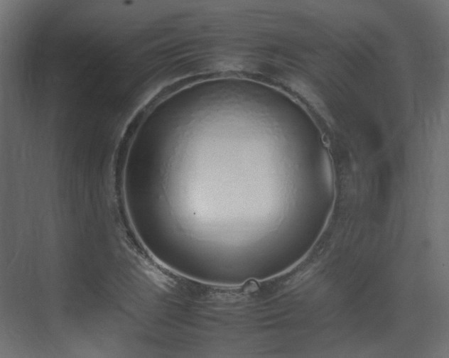 X0000075331023200609081052
