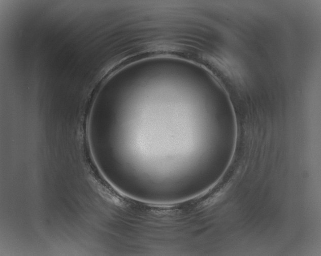 X0000075331025200609081052