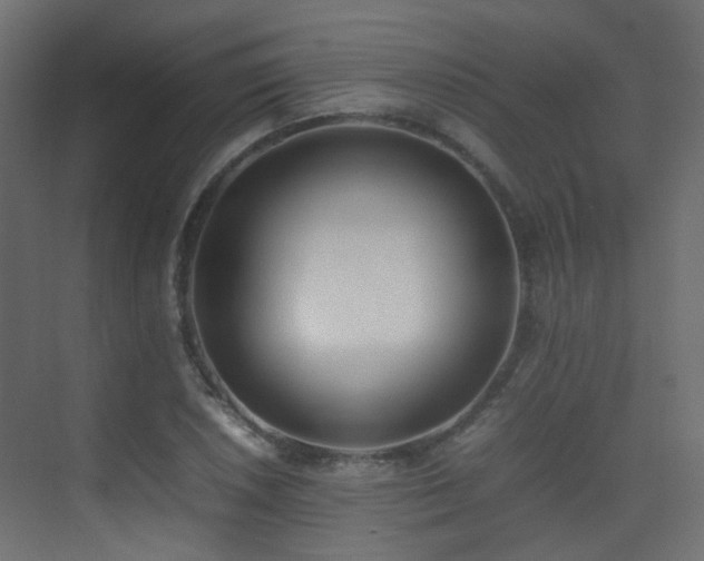 X0000075331026200609081052