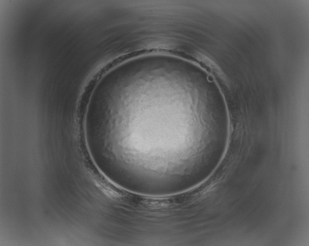 X0000075331027200609081052