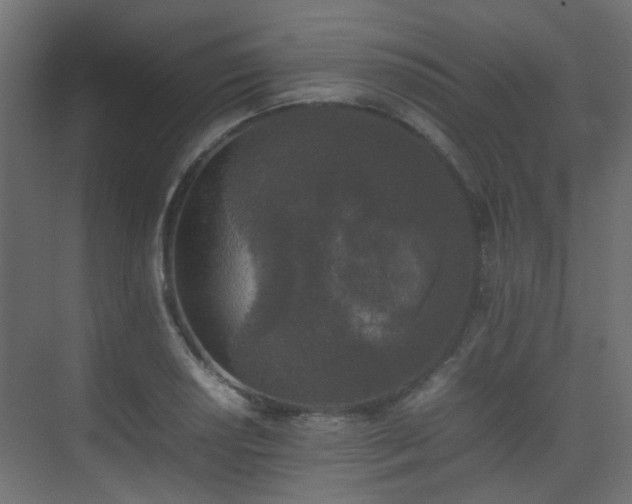 X0000075331034200609081052