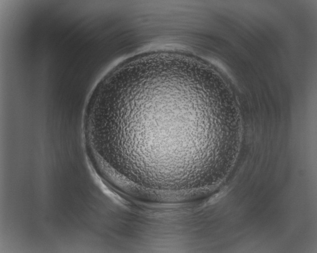X0000075331038200609081052