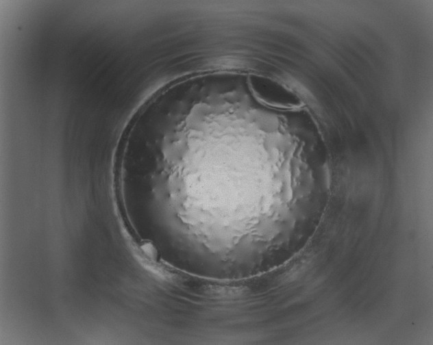 X0000075331039200609081052