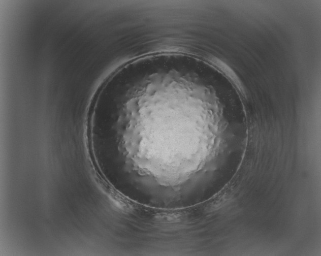 X0000075331051200609081052