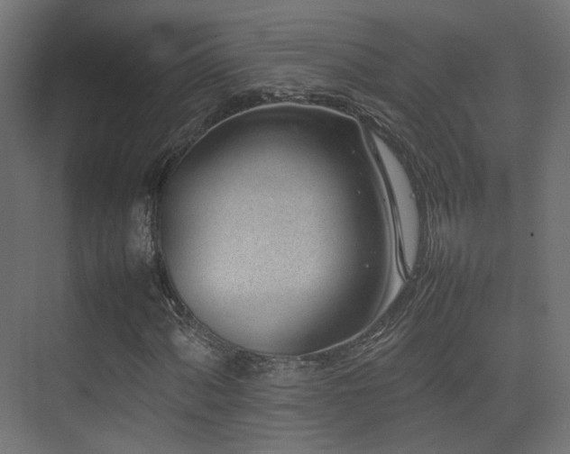 X0000075331060200609081052