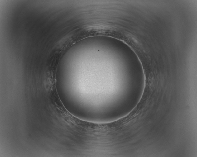 X0000075331062200609081052