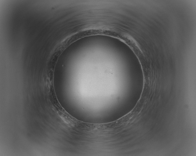 X0000075331064200609081052