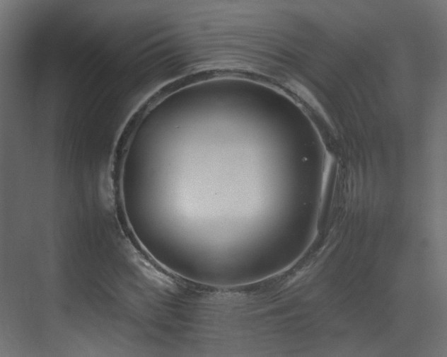 X0000075331068200609081052