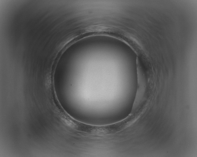 X0000075331073200609081051