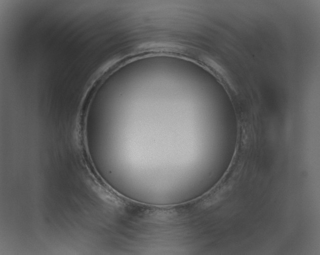 X0000075331074200609081051