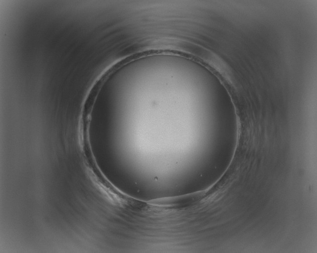 X0000075331076200609081051