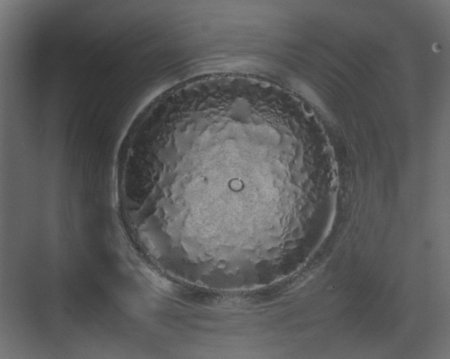 X0000075331079200609081051