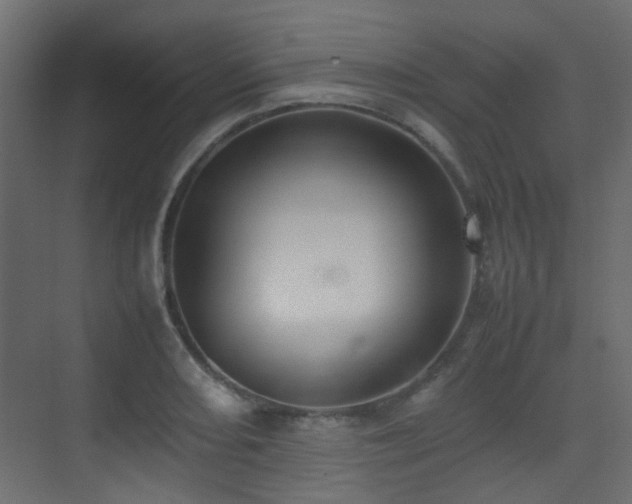 X0000075331082200609081051