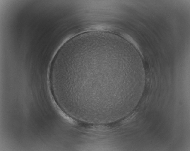 X0000075331091200609081051