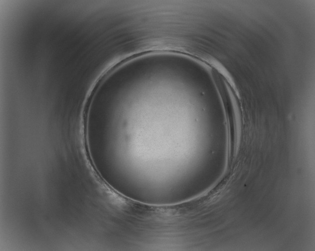 X0000075331096200609081051