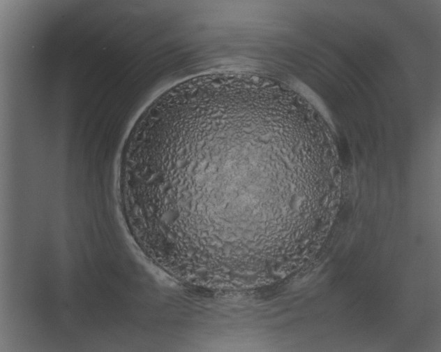 X0000075331099200609081051
