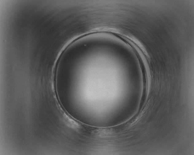 X0000075331102200609081051