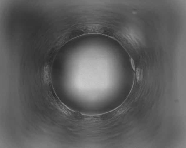 X0000075331107200609081050