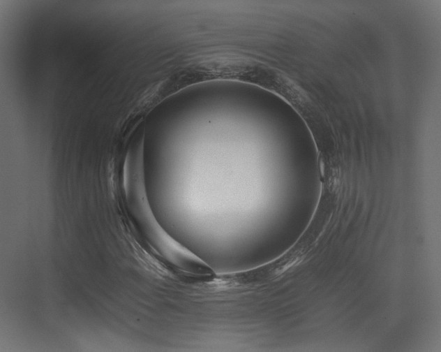 X0000075331108200609081050