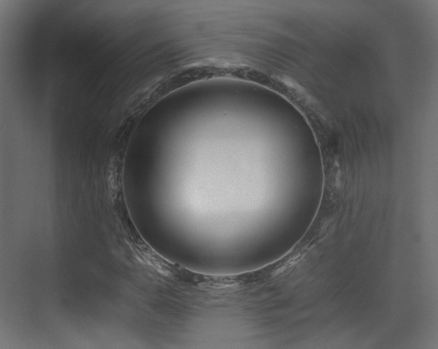 X0000075331110200609081050