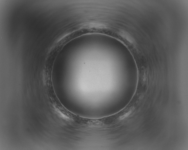 X0000075331112200609081050