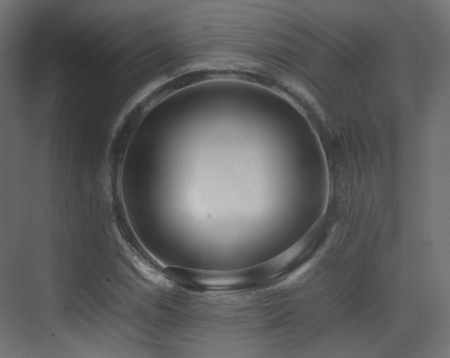 X0000075331114200609081050