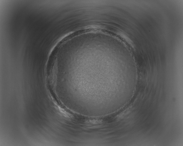X0000075331117200609081050