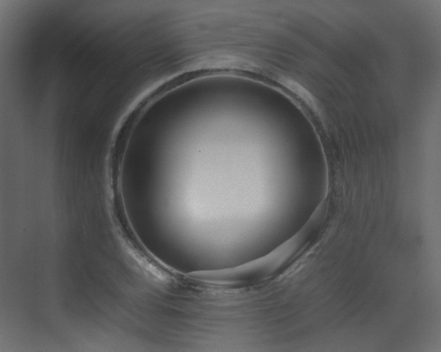 X0000075331120200609081050