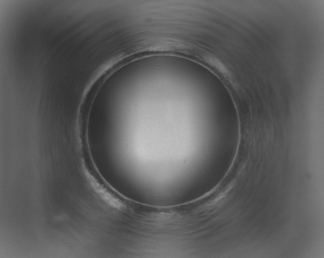 X0000075331122200609081050