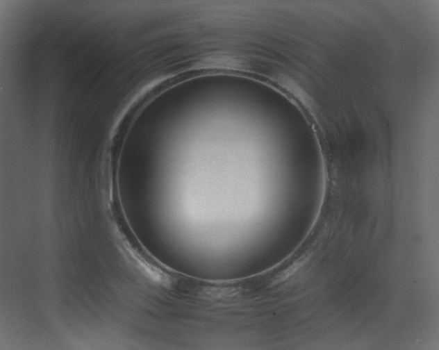 X0000075331123200609081050