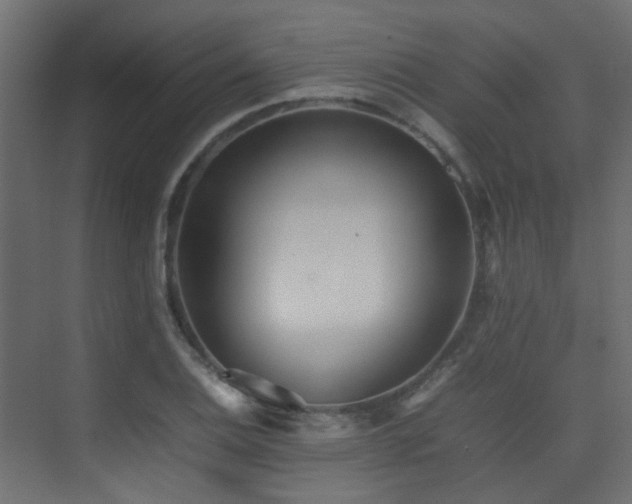 X0000075331124200609081050