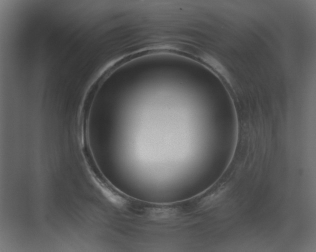 X0000075331127200609081050