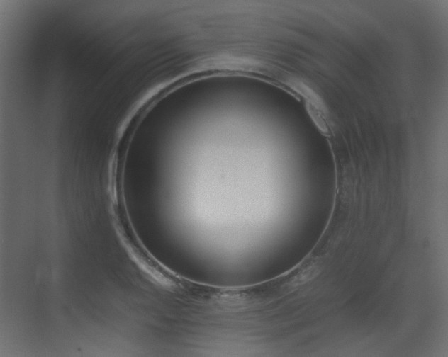 X0000075331128200609081051