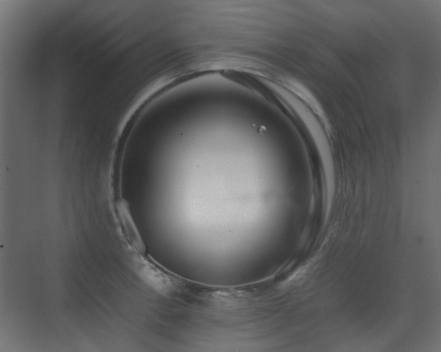 X0000075331138200609081051