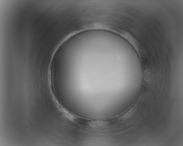 X0000075331150200609081051