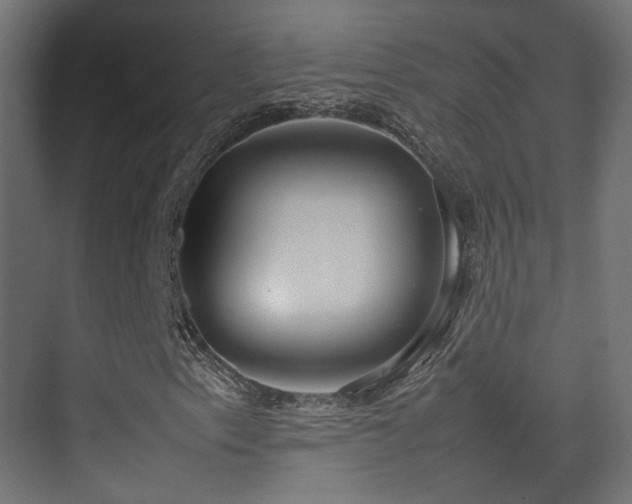 X0000075331153200609081050
