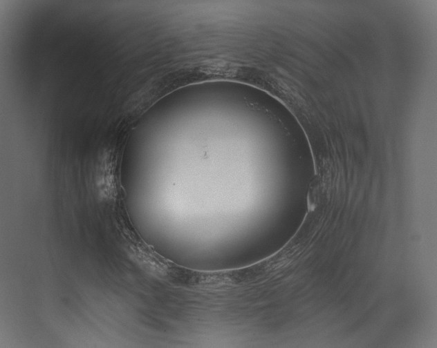 X0000075331154200609081050