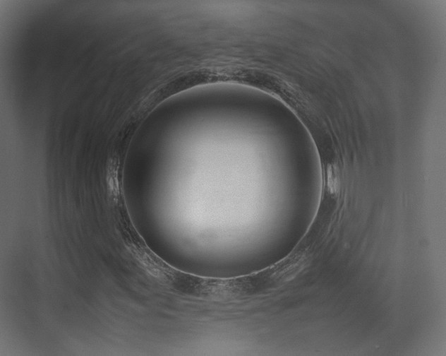 X0000075331155200609081050
