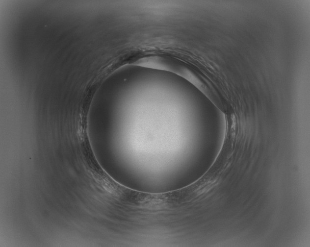 X0000075331156200609081050