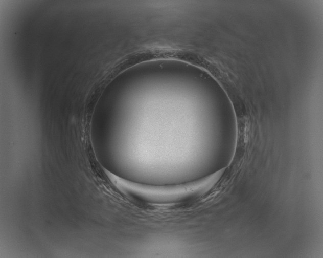 X0000075331157200609081050