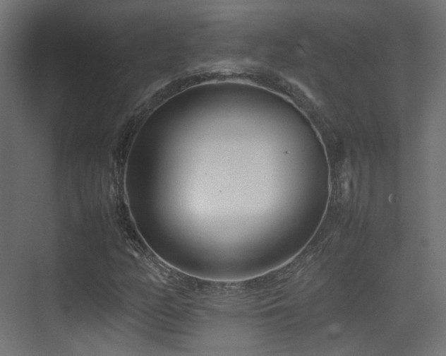 X0000075331158200609081050